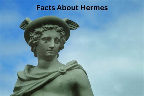 Hermes Administraties Information